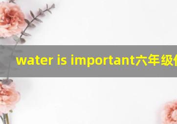 water is important六年级作文